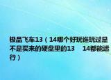 極品飛車13（14哪個好玩誰玩過是不是買來的硬盤里的13    14都能運(yùn)行）