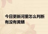 今日更新河里怎么判斷有沒有黃鱔