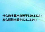 什么數(shù)字算出來等于520.1314（怎么樣算出數(shù)字521.1314）