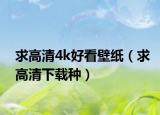求高清4k好看壁紙（求高清下載種）