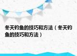 冬天釣魚的技巧和方法（冬天釣魚的技巧和方法）