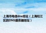 上海市電信dns地址（上海松江區(qū)的DNS服務(wù)器地址）