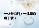 一休哥百科（一休哥百度下載）