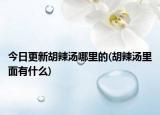今日更新胡辣湯哪里的(胡辣湯里面有什么)