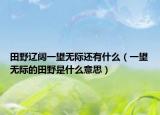 田野遼闊一望無(wú)際還有什么（一望無(wú)際的田野是什么意思）