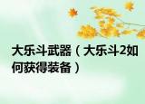 大樂(lè)斗武器（大樂(lè)斗2如何獲得裝備）