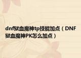 dnf獄血魔神tp技能加點(diǎn)（DNF獄血魔神PK怎么加點(diǎn)）