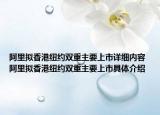 阿里擬香港紐約雙重主要上市詳細(xì)內(nèi)容 阿里擬香港紐約雙重主要上市具體介紹