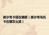 賽爾號(hào)卡塔在哪抓（賽爾號(hào)鳥(niǎo)托卡在哪怎么抓）