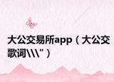 大公交易所app（大公交歌詞\