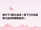 魅力飛飛騎士加點(diǎn)（新飛飛力量型騎士加點(diǎn)和寵物加點(diǎn)）