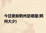 今日更新鶴州是哪里(鶴州大少)