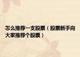 怎么推薦一支股票（股票新手向大家推薦個股票）