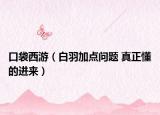 口袋西游（白羽加點(diǎn)問題 真正懂的進(jìn)來）