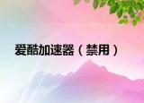 愛酷加速器（禁用）