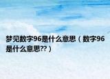 夢見數(shù)字96是什么意思（數(shù)字96是什么意思??）