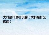 大料是什么樹長的（大料是什么東西）