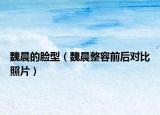 魏晨的臉型（魏晨整容前后對比照片）