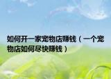 如何開一家寵物店賺錢（一個寵物店如何盡快賺錢）