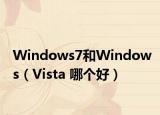 Windows7和Windows（Vista 哪個好）