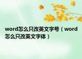 word怎么只改英文字號(hào)（word怎么只改英文字體）