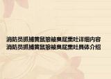 消防員抓捕黃鼠狼被臭屁熏吐詳細內(nèi)容 消防員抓捕黃鼠狼被臭屁熏吐具體介紹