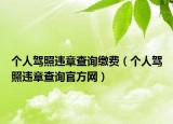 個人駕照違章查詢繳費（個人駕照違章查詢官方網(wǎng)）