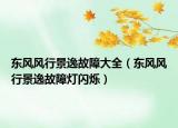 東風(fēng)風(fēng)行景逸故障大全（東風(fēng)風(fēng)行景逸故障燈閃爍）