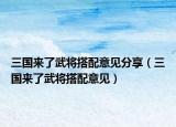 三國來了武將搭配意見分享（三國來了武將搭配意見）