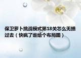 保衛(wèi)蘿卜挑戰(zhàn)模式第18關(guān)怎么無損過去（快瘋了誰(shuí)給個(gè)布局圖）