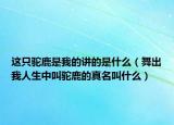 這只駝鹿是我的講的是什么（舞出我人生中叫駝鹿的真名叫什么）