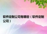 軟件定制公司有哪些（軟件定制公司）