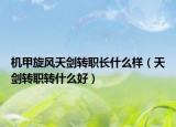機甲旋風天劍轉(zhuǎn)職長什么樣（天劍轉(zhuǎn)職轉(zhuǎn)什么好）