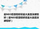 是NEO巨目棕好還是大美目深邃棕好（是NEO巨目棕好還是大美目深邃棕好）