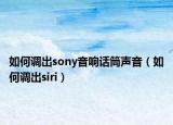 如何調(diào)出sony音響話筒聲音（如何調(diào)出siri）