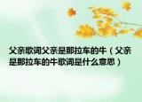 父親歌詞父親是那拉車的牛（父親是那拉車的牛歌詞是什么意思）