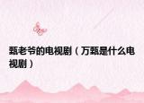 甄老爺?shù)碾娨晞。ㄈf甄是什么電視?。? /></span></a>
                        <h2><a href=