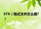 STK（格式文件怎么看?）