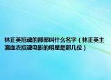 林正英招魂的那部叫什么名字（林正英主演血衣招魂電影的明星是那幾位）