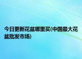 今日更新花盆哪里買(中國最大花盆批發(fā)市場)