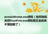 scmainframe.exe進程（如何徹底關閉ScanFrm.exe進程真正會的來不懂別跟了）