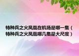 特種兵之火鳳凰在機場是哪一集（特種兵之火鳳凰哪幾集是大尺度）