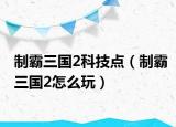 制霸三國(guó)2科技點(diǎn)（制霸三國(guó)2怎么玩）