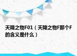 天降之物F01（天降之物F那個F的含義是什么）
