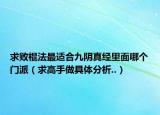 求敗棍法最適合九陰真經(jīng)里面哪個門派（求高手做具體分析..）