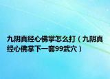 九陰真經(jīng)心佛掌怎么打（九陰真經(jīng)心佛掌下一套99武穴）