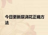 今日更新尿澆花正確方法