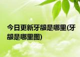 今日更新牙齦是哪里(牙齦是哪里圖)