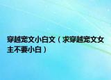 穿越寵文小白文（求穿越寵文女主不要小白）