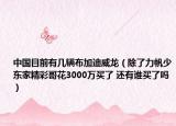 中國(guó)目前有幾輛布加迪威龍（除了力帆少東家精彩哥花3000萬買了 還有誰買了嗎）